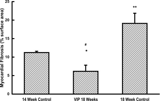 VIP Myocardial Fibrosis