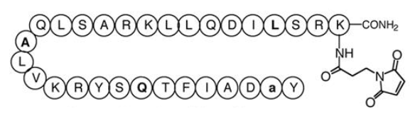 cjc dac structure