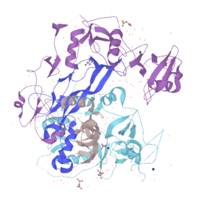 follistatin structure