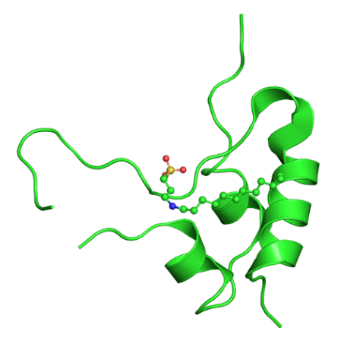 igf1 structure