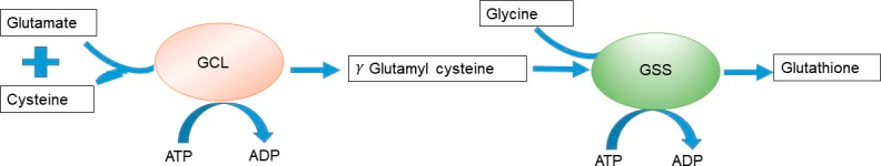 mechanism1