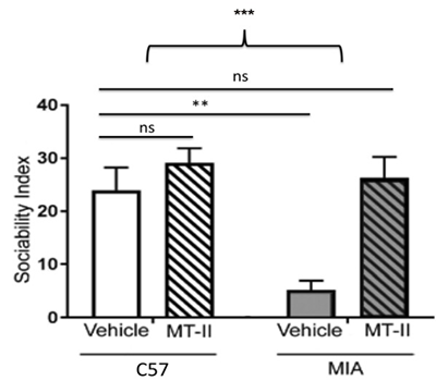 melanotan2 autism