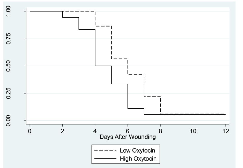 oxytocin chart