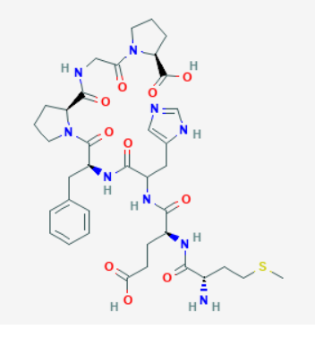 semax structure 1